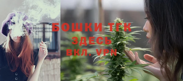 эйфоретик Гусев