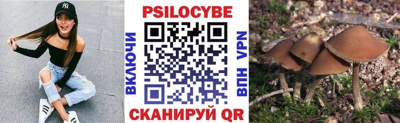 хочу   blacksprut ссылка  Псилоцибиновые грибы прущие грибы  Дивногорск 