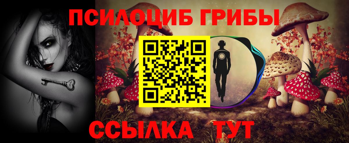 Галлюциногенные грибы мицелий  Галлюциногенные грибы мицелий  Дивногорск  Вход с VPN 