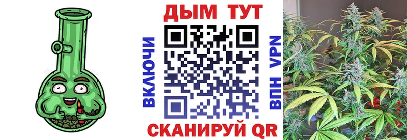 Марихуана планчик  Дивногорск 